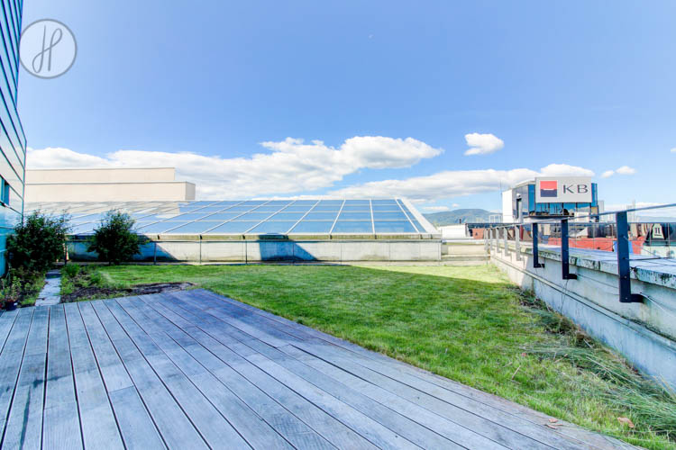 byt k pronájmu - PLAZA